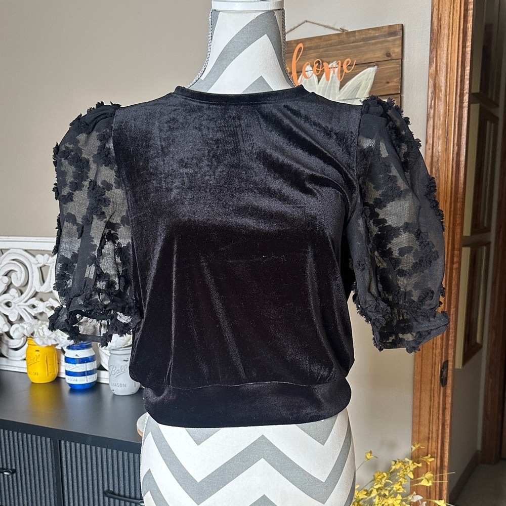 THML Black Velvet Blouse with Sheer Floral Sleeves